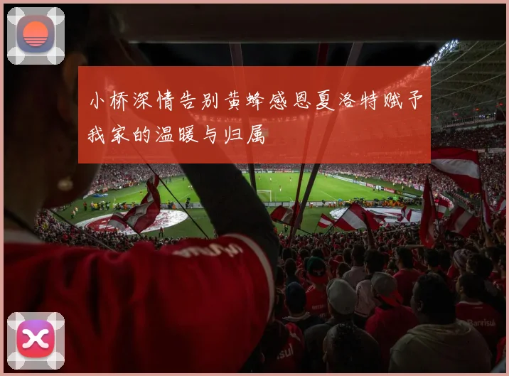 小桥深情告别黄蜂感恩夏洛特赋予我家的温暖与归属