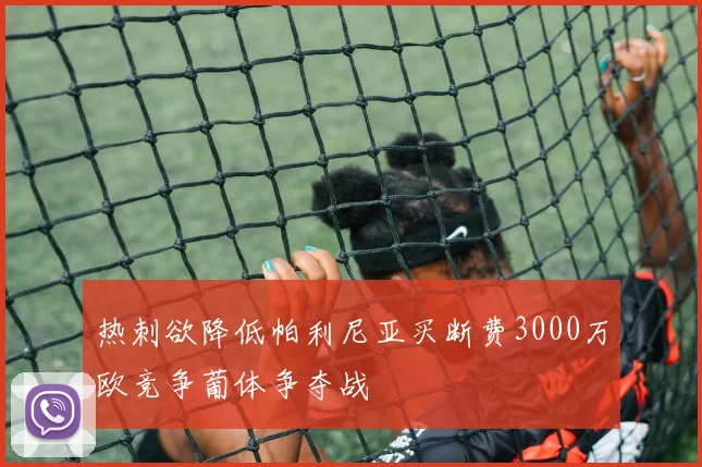 热刺欲降低帕利尼亚买断费3000万欧竞争葡体争夺战